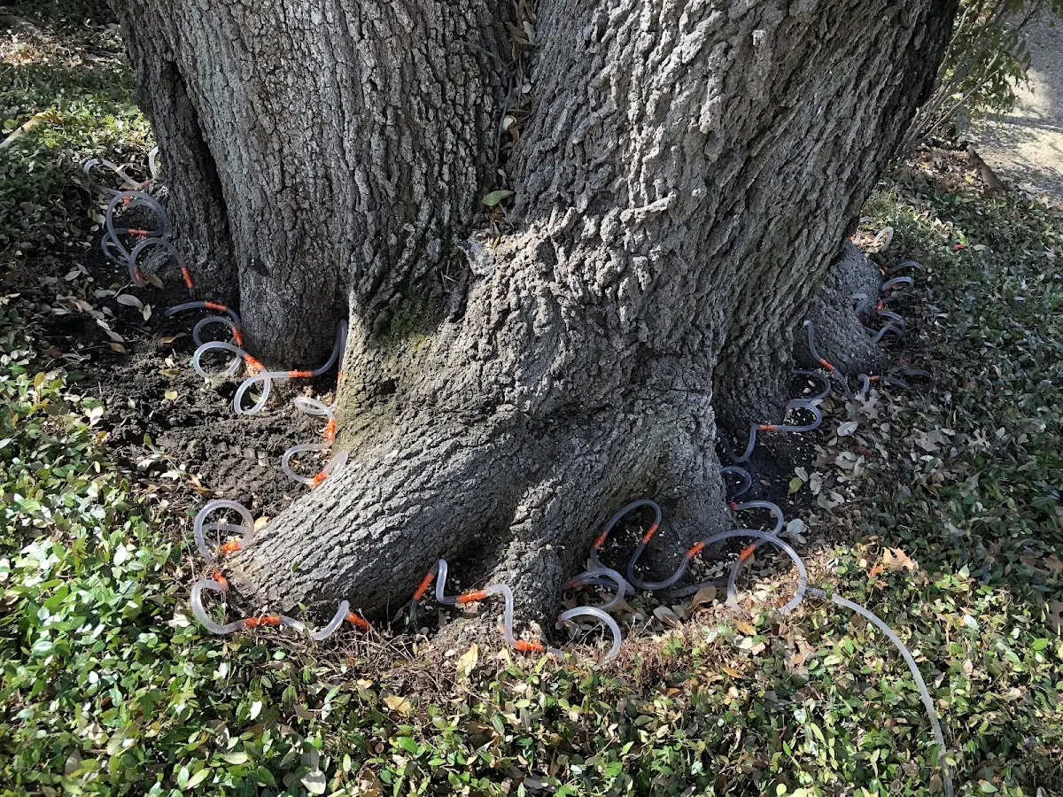 Detailed Shrub and Hedge Trimming job site in Hartman